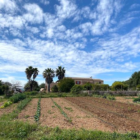 סנט לורנס דס קרדסר Finca Hotel Ses Cases Noves מראה חיצוני תמונה