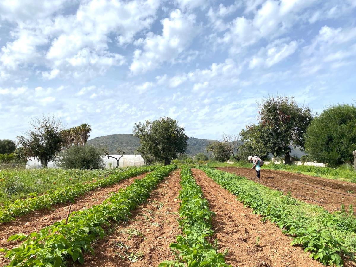 סנט לורנס דס קרדסר Finca Hotel Ses Cases Noves מראה חיצוני תמונה