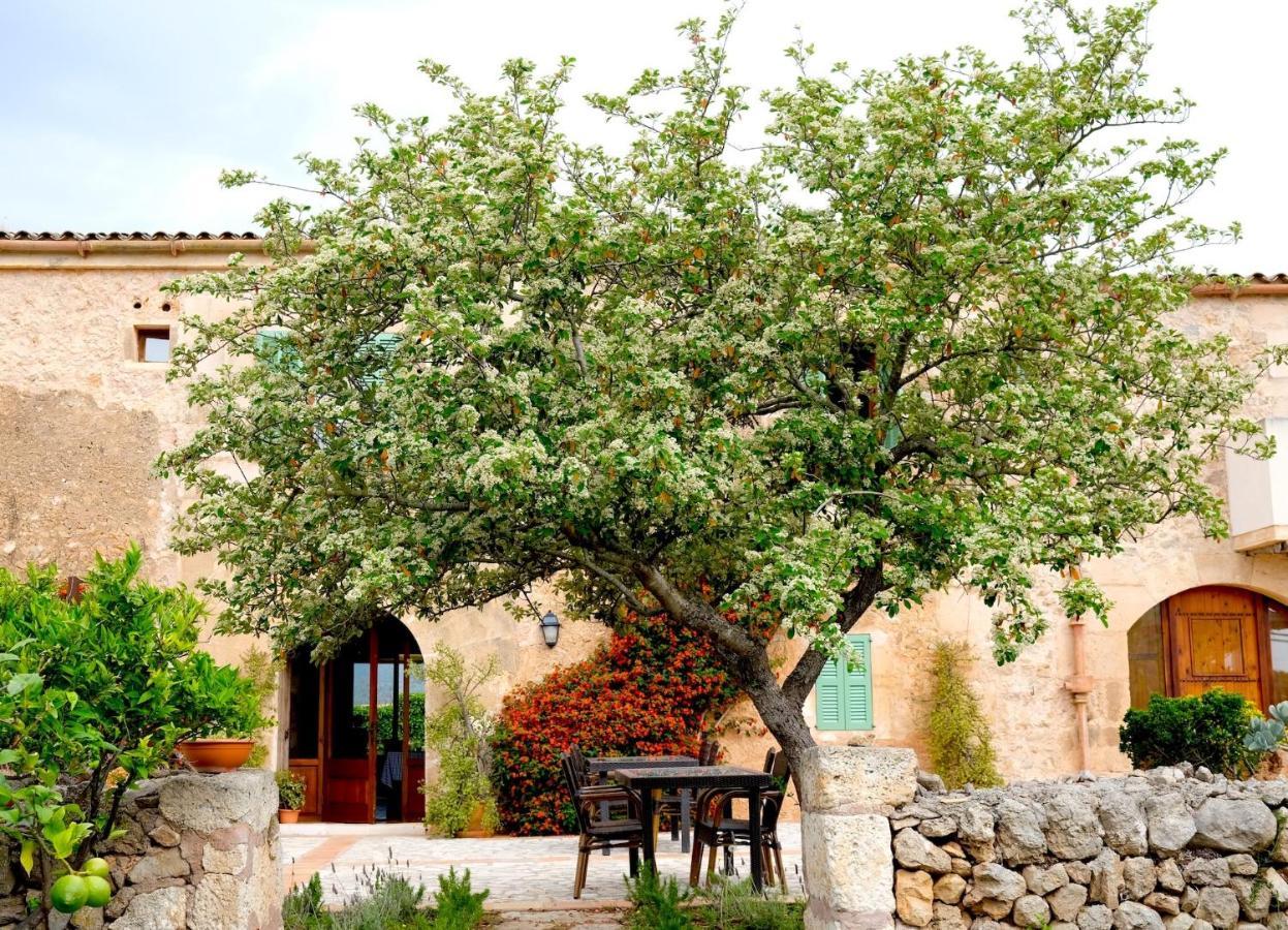 סנט לורנס דס קרדסר Finca Hotel Ses Cases Noves מראה חיצוני תמונה