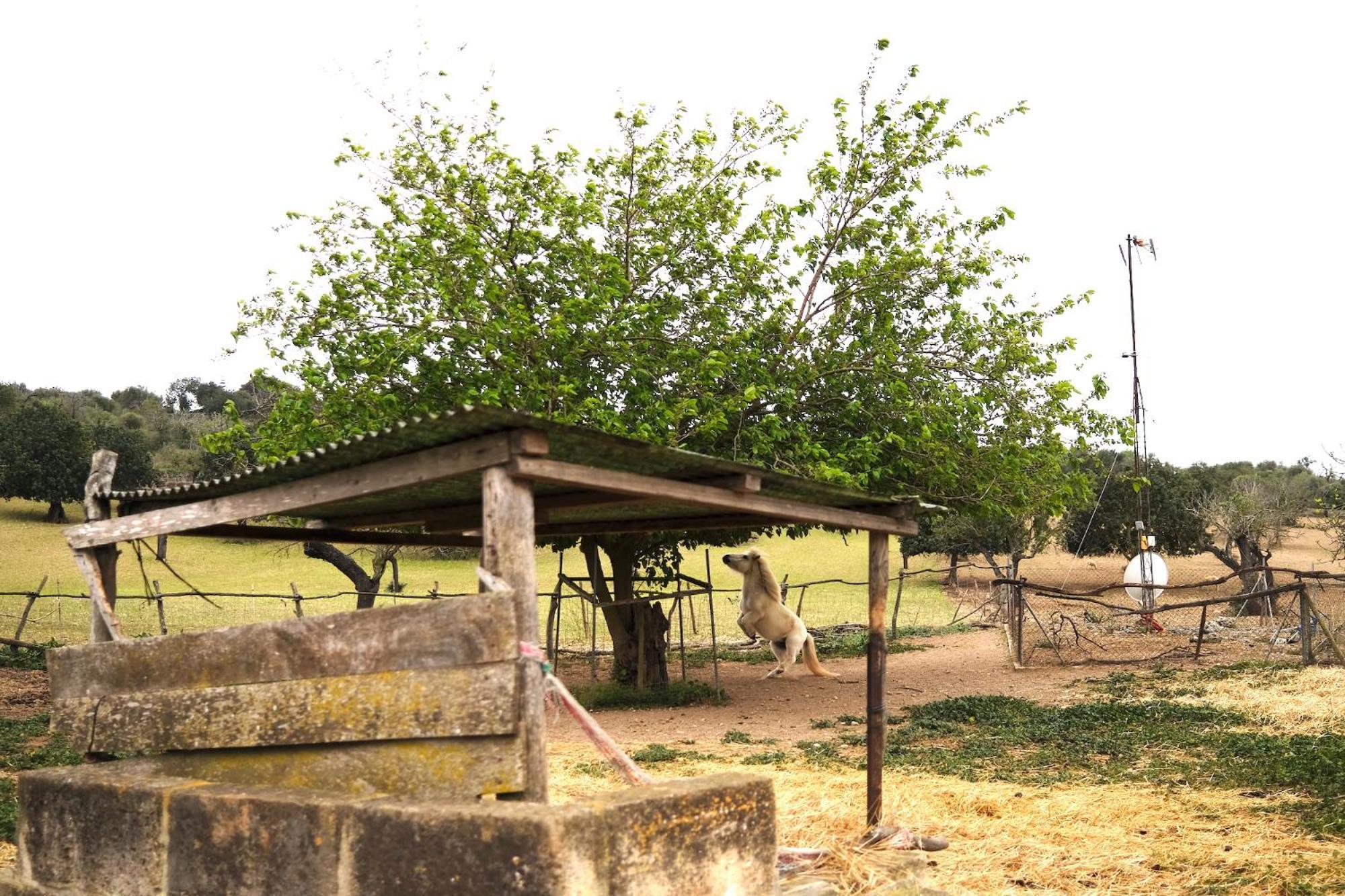 סנט לורנס דס קרדסר Finca Hotel Ses Cases Noves מראה חיצוני תמונה