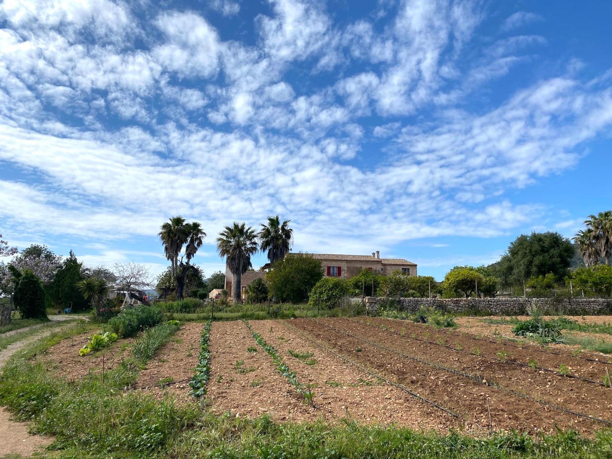 סנט לורנס דס קרדסר Finca Hotel Ses Cases Noves מראה חיצוני תמונה
