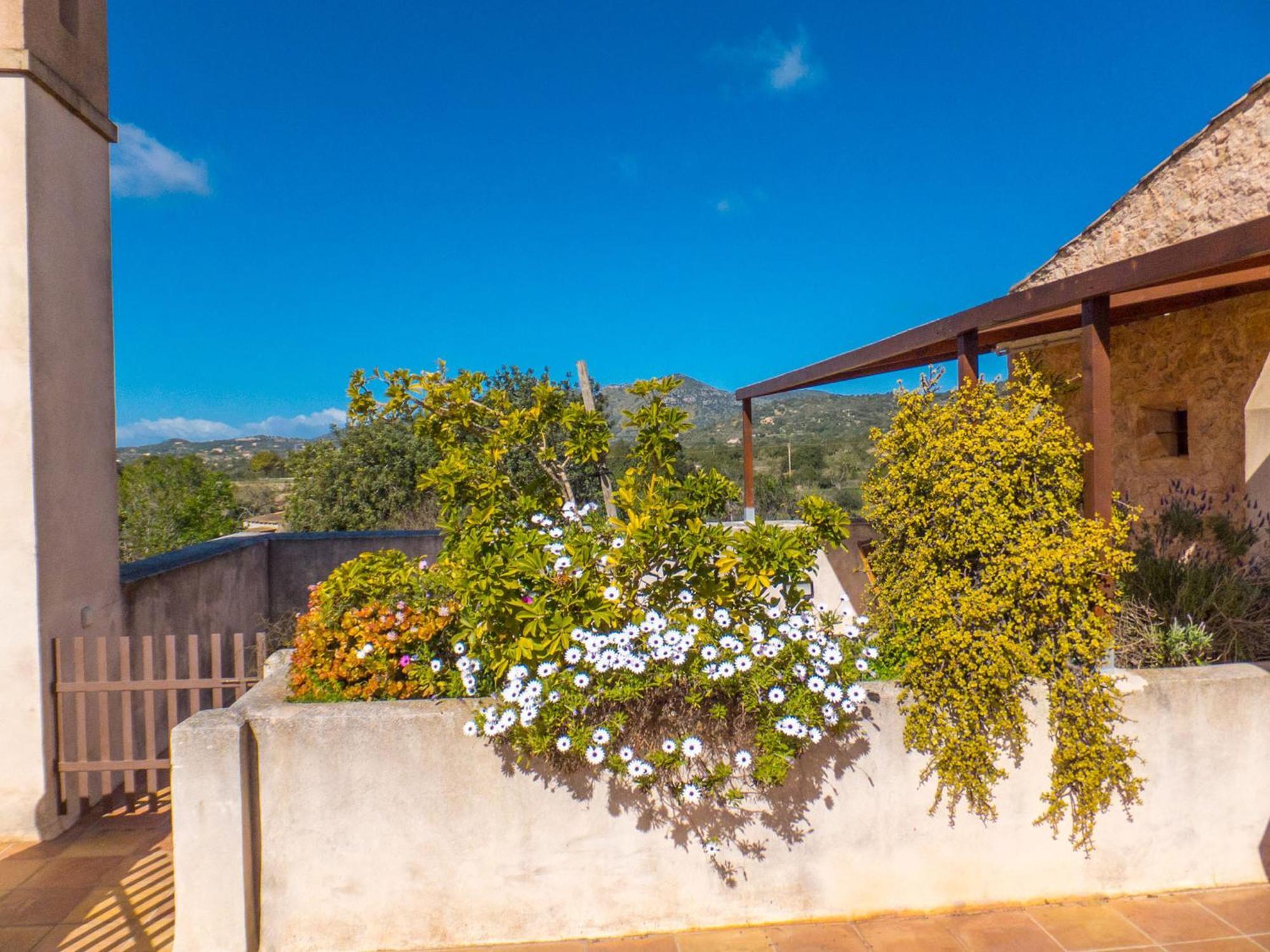 סנט לורנס דס קרדסר Finca Hotel Ses Cases Noves חדר תמונה