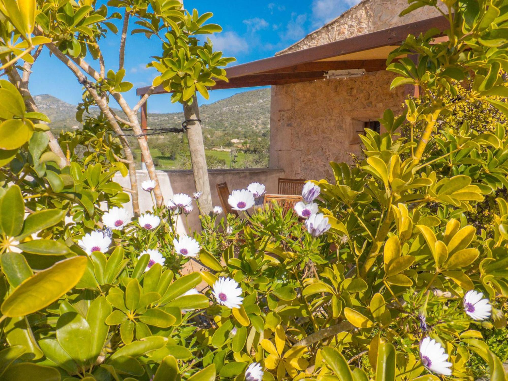 סנט לורנס דס קרדסר Finca Hotel Ses Cases Noves חדר תמונה